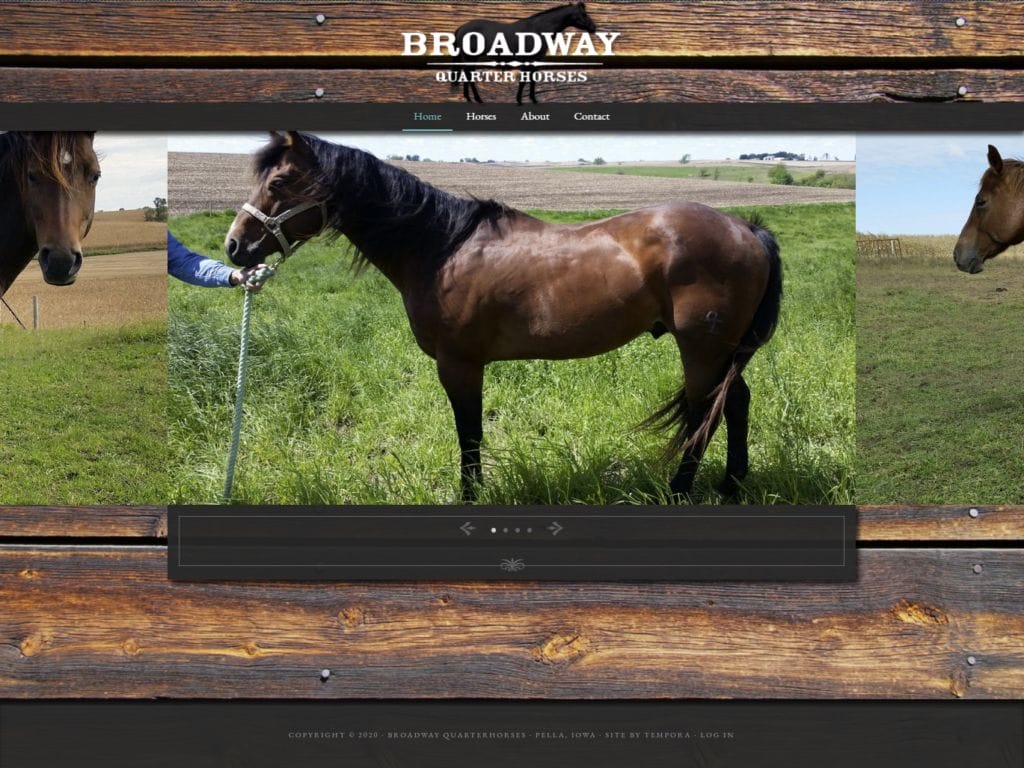 Broadway Quarterhorses Simple WordPress Website Home Page
