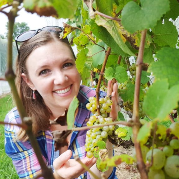 Denise Gardner holding Grapes in Vineyard